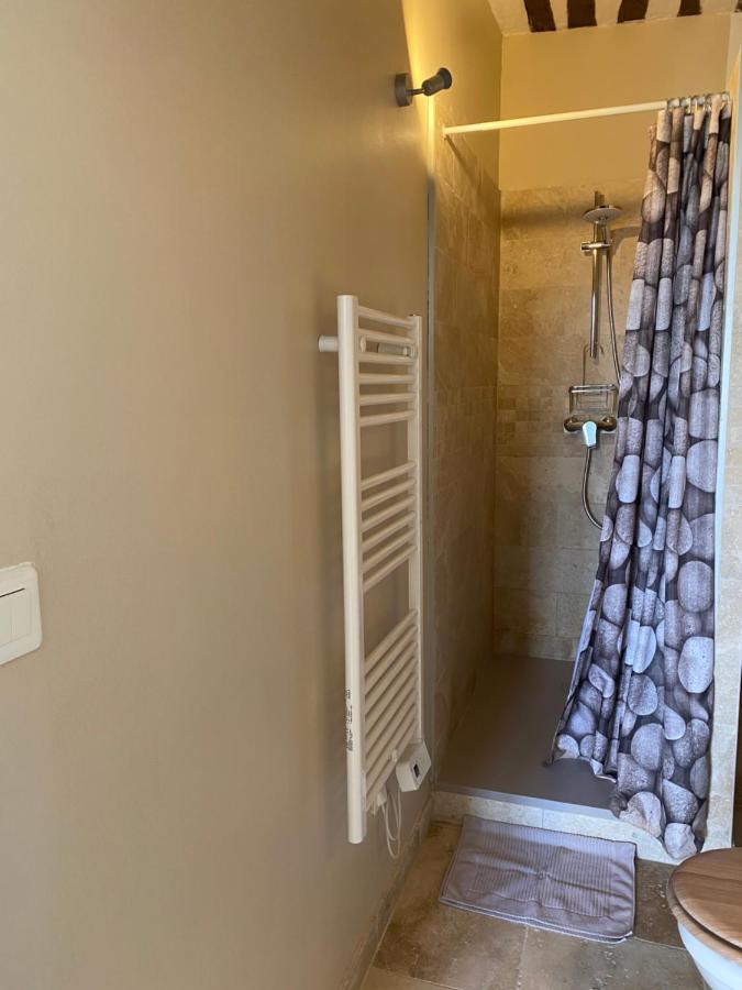 Studio De Charme Le Clos De L'Etang + Place De Parking L'Isle-sur-la-Sorgue Kültér fotó